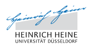 Gastvortrag im Rahmen der Veranstaltung der Career Service & Coaching Veranstaltung „Alternative Erwerbsformen“ an der Heinrich Heine Universität zu Düsseldorf
